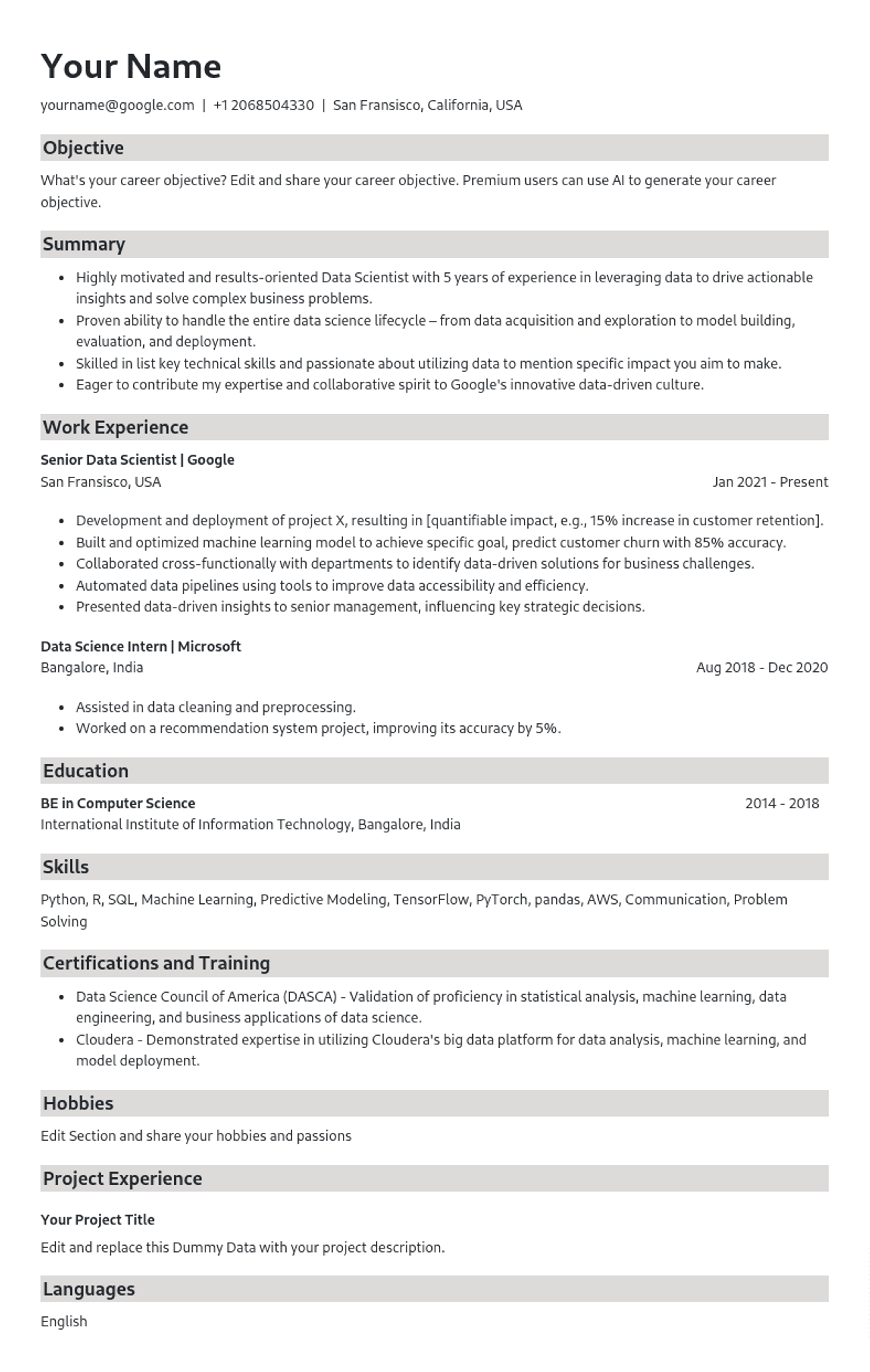 Grey Lining Resume Template