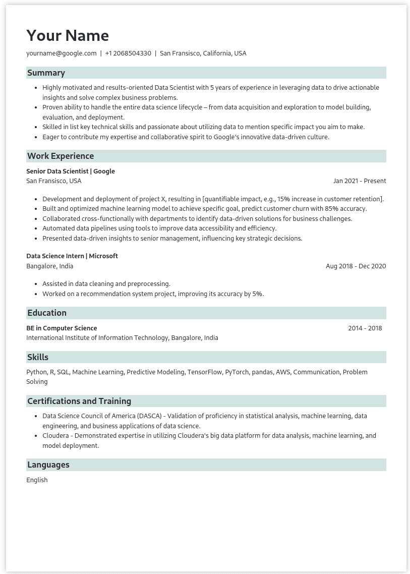 Resume Template Preview