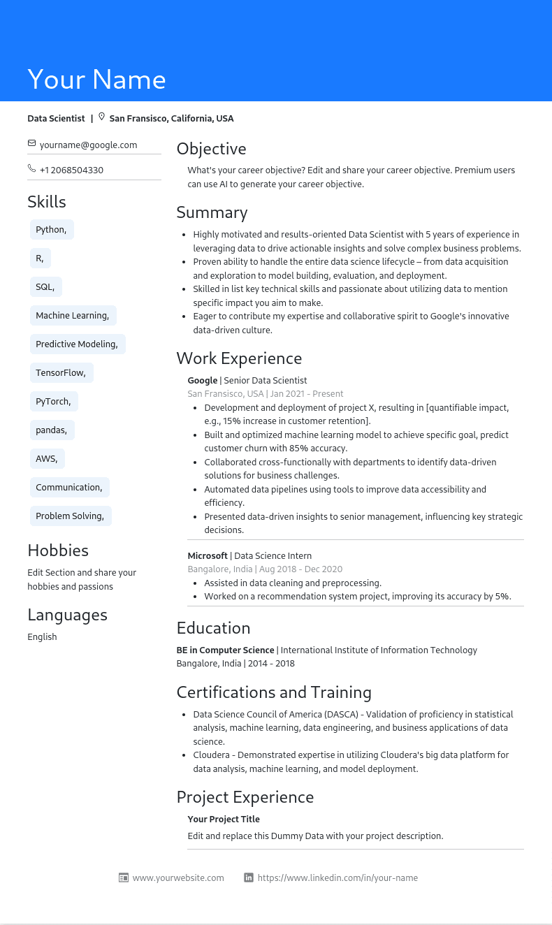 Basic Blue Resume Template