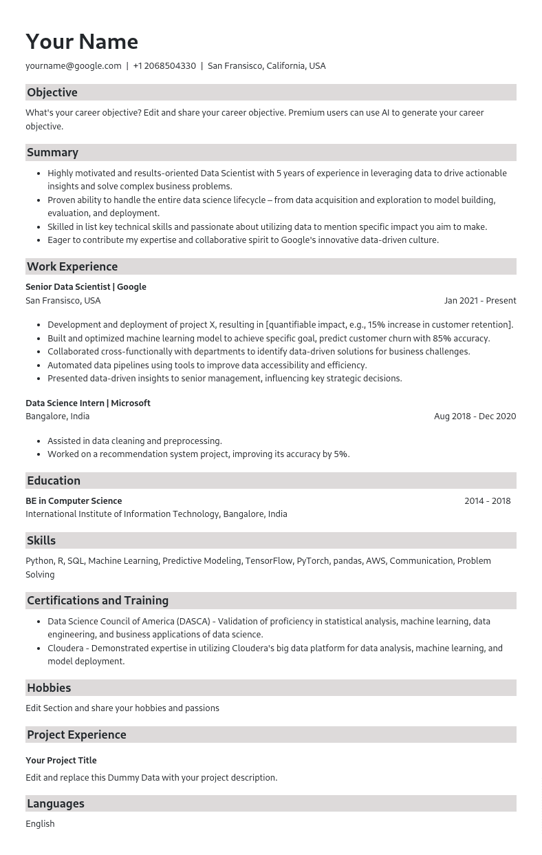 Grey Lining Resume Template