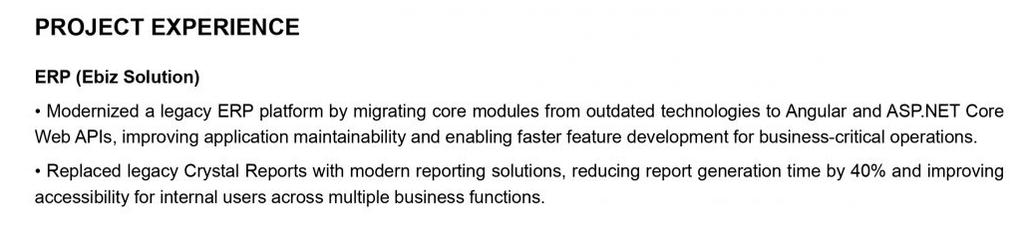 This image is showing project experience section.