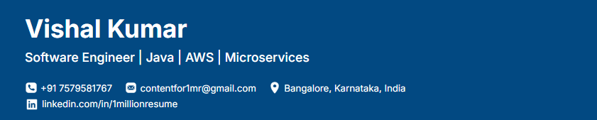 This image is showing Software Engineers and IT Professionals personal details.